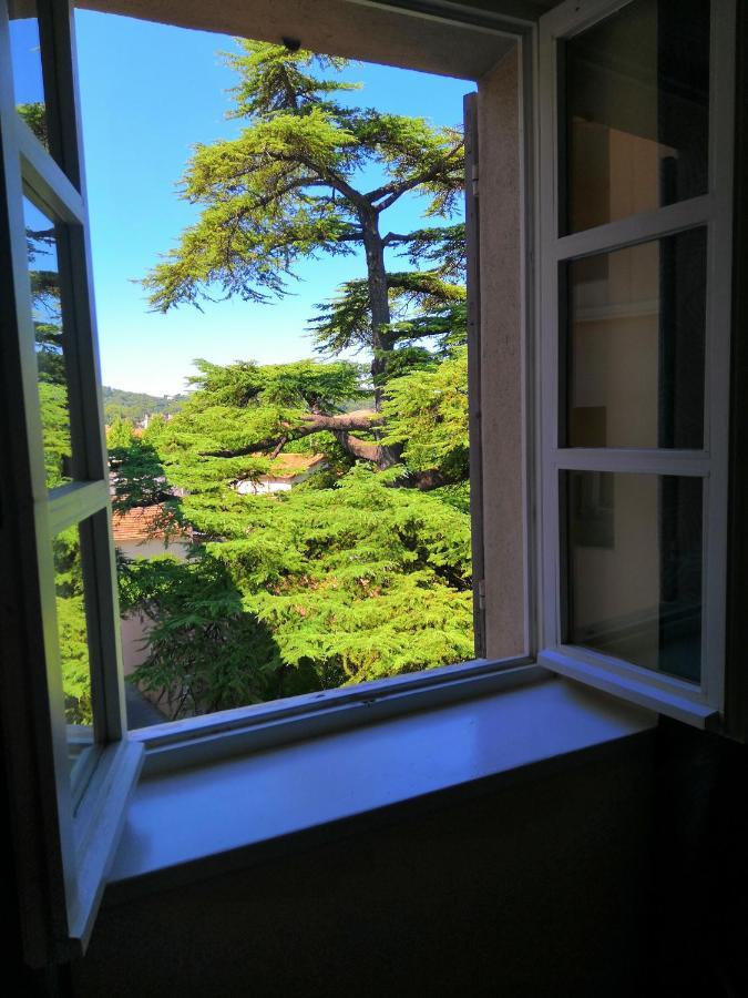 Hotel Le Victoria Draguignan Zewnętrze zdjęcie
